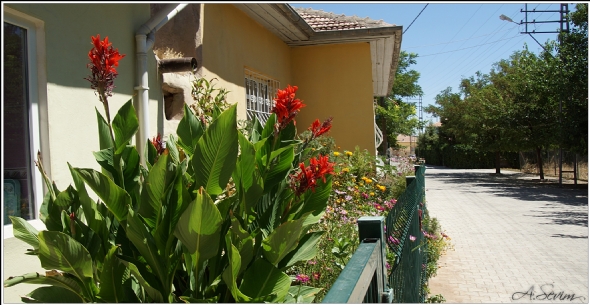 Yazıhan İlçesi, Fethiye Mahallesi, Aşağı Tenci mevkiinde satılık bahçe.
